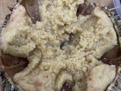 -海胆小馆(东北水饺·春柳店)