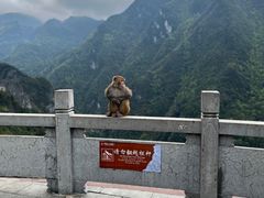 -龙水峡地缝景区
