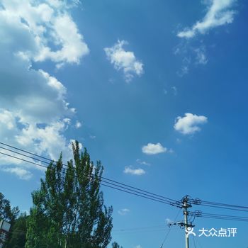 浓清蜜意粽叶飘香犹如悠悠空谷