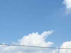 -吕氏焗小鲜•海鲜青岛菜(八大关店)
