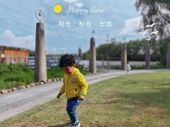 -昆山城市生态森林公园