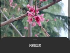 -西安世博园