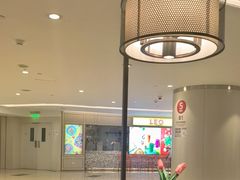 -羲和雅苑•北京烤鸭(国贸商城店)