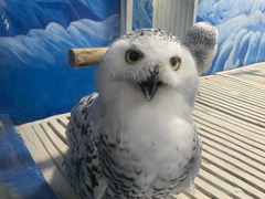 -成都浩海立方海洋公园