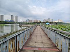 -月湖风景区