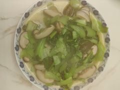 -天鹅到家·保姆月嫂育儿嫂(朝阳店)