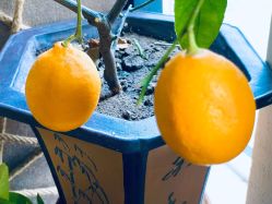 -青青一生美皮肤管理