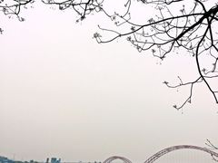 iphone_upload_pic-喜洲吧·江畔老船厂·庭院餐厅(喜临院店)