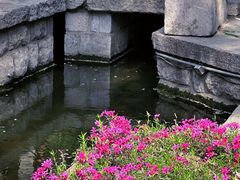 -百花洲