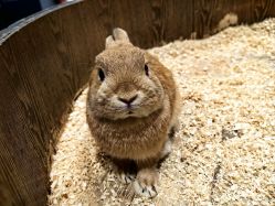 -Zoolung Zoolung动物主题公园(海信广场店)