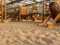 -南宫五洲植物乐园