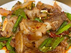 土猪回锅肉-春涛餐馆(下坝店)