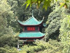 -岳麓山风景名胜区