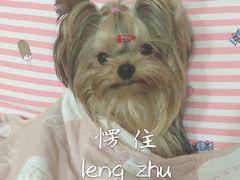 -创凡宠物医院·骨专科  猫科中心(西乡分院)