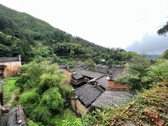 -杨家堂村