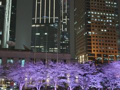 -陆家嘴世纪金融广场