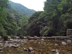 -湖州龙王山景区