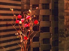 -京津新城温德姆至尊酒店(珠江大道店)