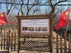 -香木香羊(小汤山店)