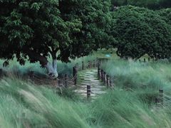 -红花山公园