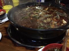 -金海椒罐罐鲢鱼(东方桂苑店)