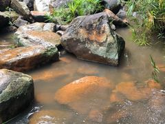 -呀诺达热带雨林