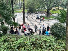 -晓港公园