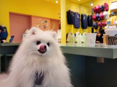 -星巴克臻选(上海合生汇1F店)