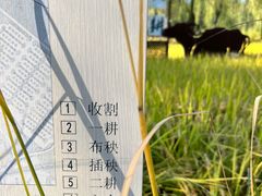 -北坞公园