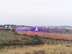 -空港花田景区