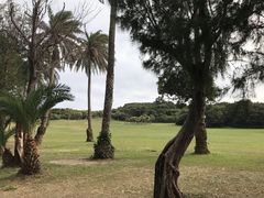 -鹅銮鼻公园