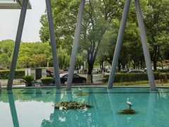 -南京国睿金陵大酒店