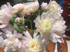 -南堂館川菜文化餐厅(天府店)