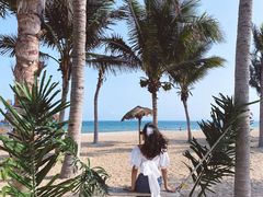 -玫瑰海岸文化旅游度假区