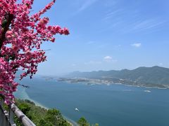 -仙岛湖旅游风景区