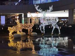 -新白鹿餐厅(城西银泰城店)