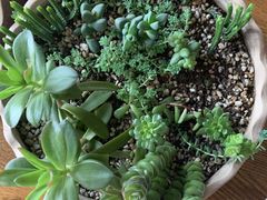 -联合口腔(西环诊所)