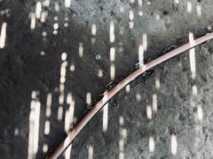 -黄沙古渡原生态旅游区