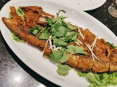 -鲜鲜·鲅鱼圈海鲜(于洪店)