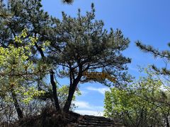 -云峰山自然风景区