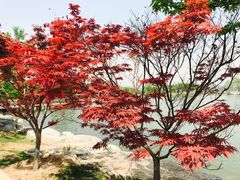 -北京宽沟会议中心