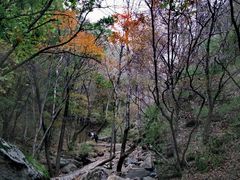 -驼梁风景区