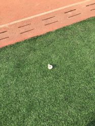 点击看大图 -HD HAIR STYLE