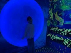 -天津梵高星空艺术馆(天河城旗舰店)