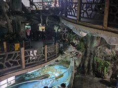 -苏州海洋馆