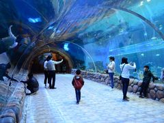 -华夏文旅海洋公园