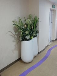 -安徽合肥韩美整形外科医院