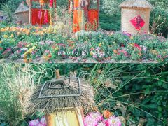 -杭州植物园