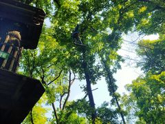 -WeLope紫金山探险公园