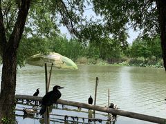 -长兴太湖图影湿地文化园